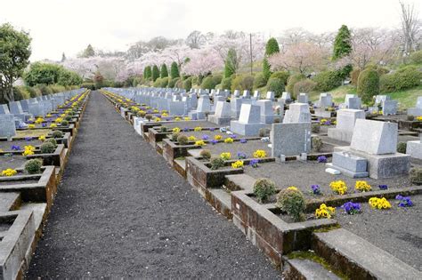 墓地種樹|お墓の植木 – 選び方のポイントを解説 